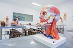 Laboratório de Anatomia